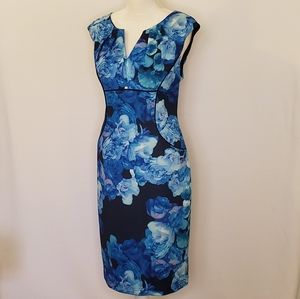 Adrianna Papell Blue Floral Dress